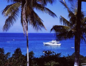Boat and palm trees in Jamaica