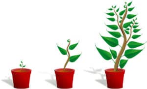 Rapid growth at agencies doesn't happen by accident.