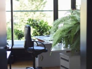 Hire a project manager at your agency: Decide between a PM, project coordinator, and PM director.