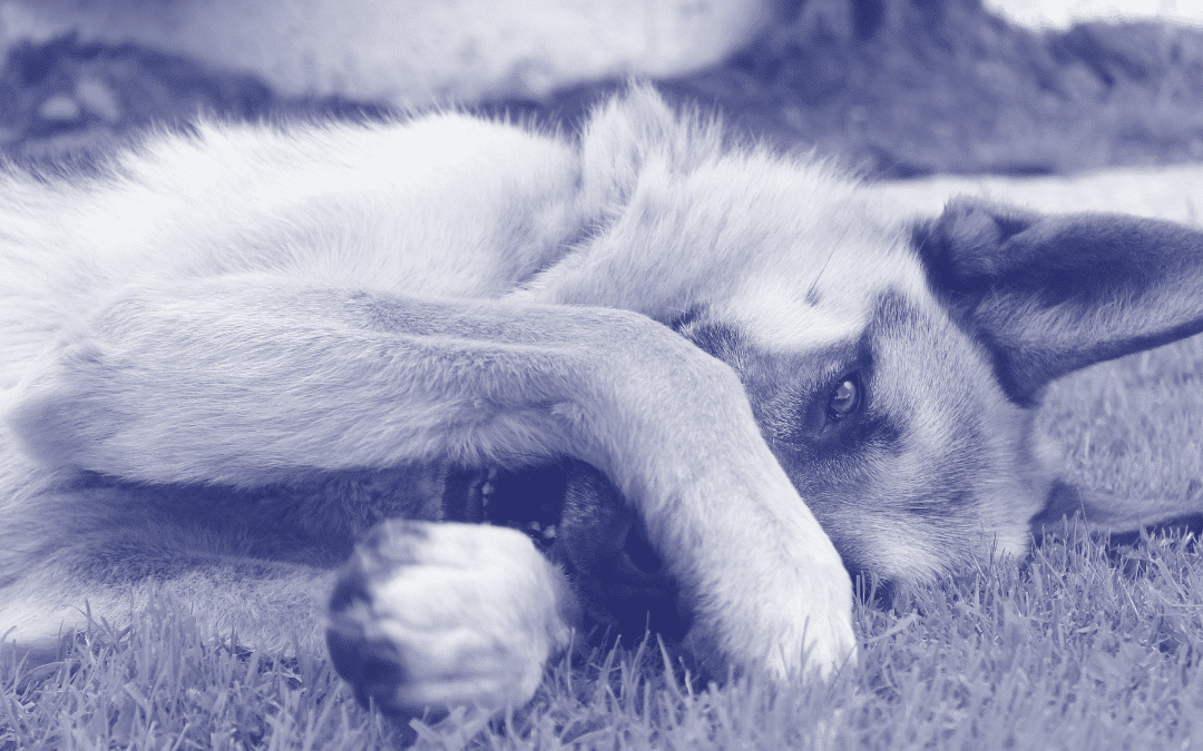 [Part 1 of 2] Warning: Are you about to hire a “Reluctant Employee”?