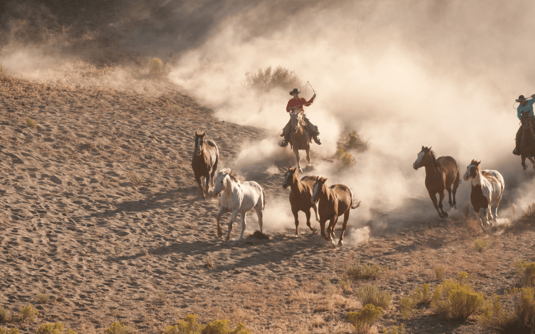 Roundup: Agency client service advice