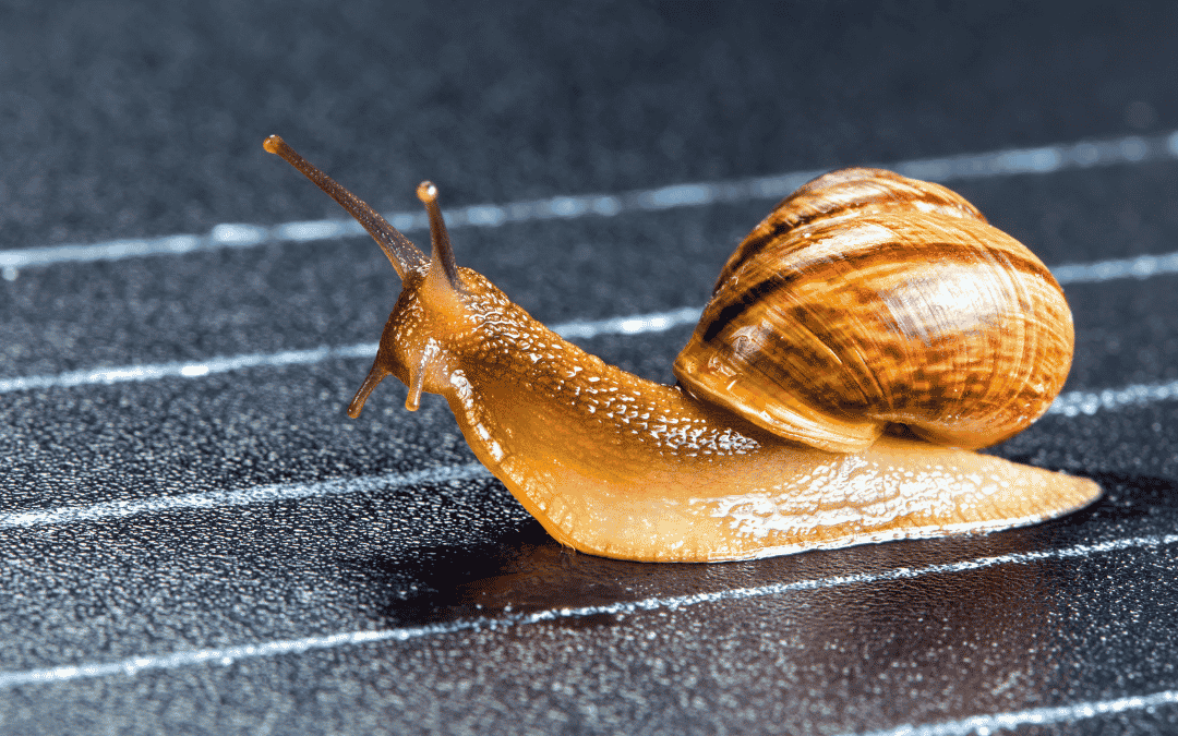 How to coach a slow employee