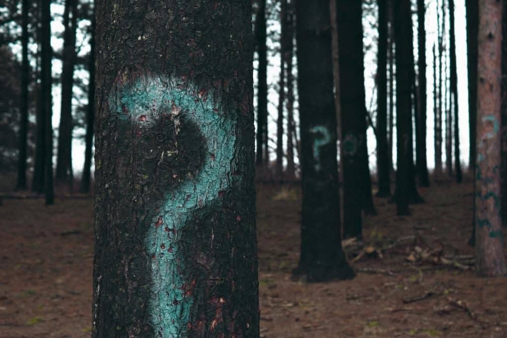 Are you asking 3 key hiring questions?