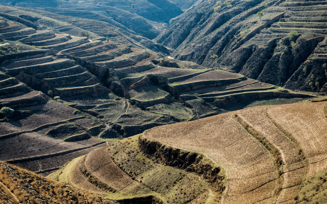 Agency growth plateau: What to do when it happens to you