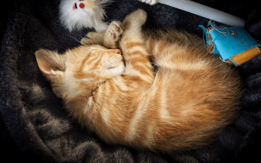 What’s a normal agency workload? (and how to *finally* get your schedule under control)