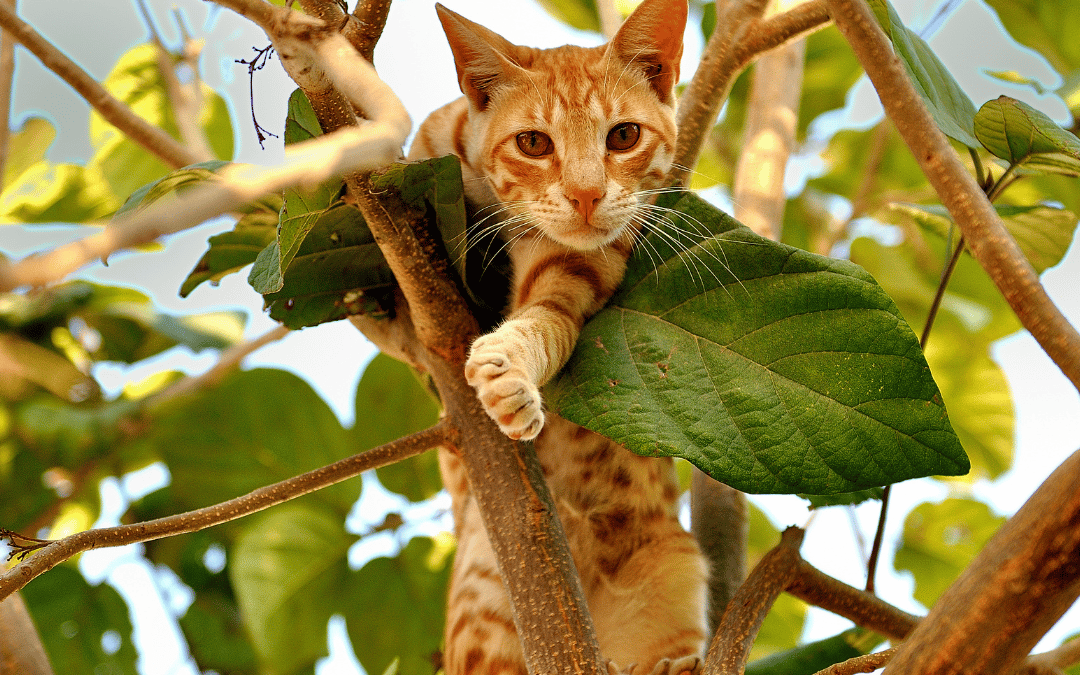 Get unstuck: Seek fast failure!