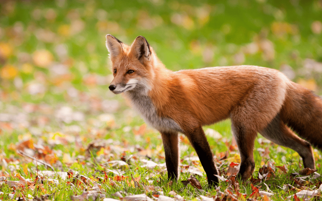 Salesperson without a salary? Think twice.