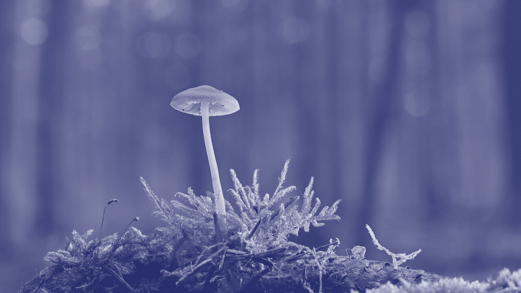 Big dreams, small budgets: What to say when a sales prospect can’t afford your agency’s help