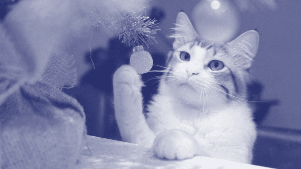 Client Satisfaction is a slippery slope: Optimize, don’t maximize