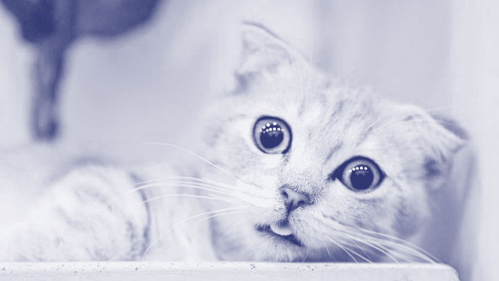 Deliver bad news to your employees Dont send an email