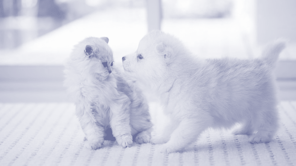 How to say “no” to a client without burning bridges How to say no to a client without burning bridges