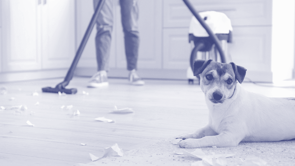 Made a client-facing mistake? Time for a makegood!