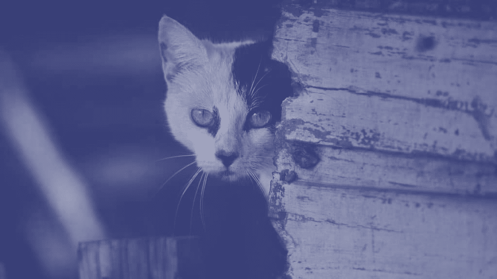 Moonlighting policy- Should you ban freelancing by employees? Moonlighting policy Should you ban freelancing by employees