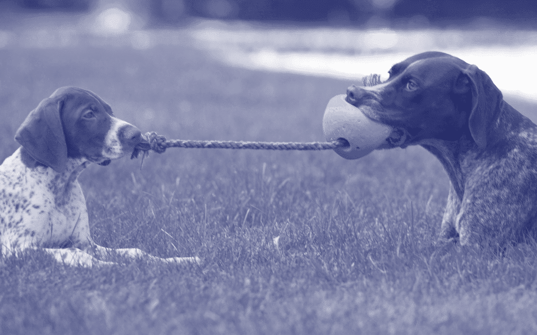 [Part 1 of 3] Why your agency’s employees don’t think like an owner