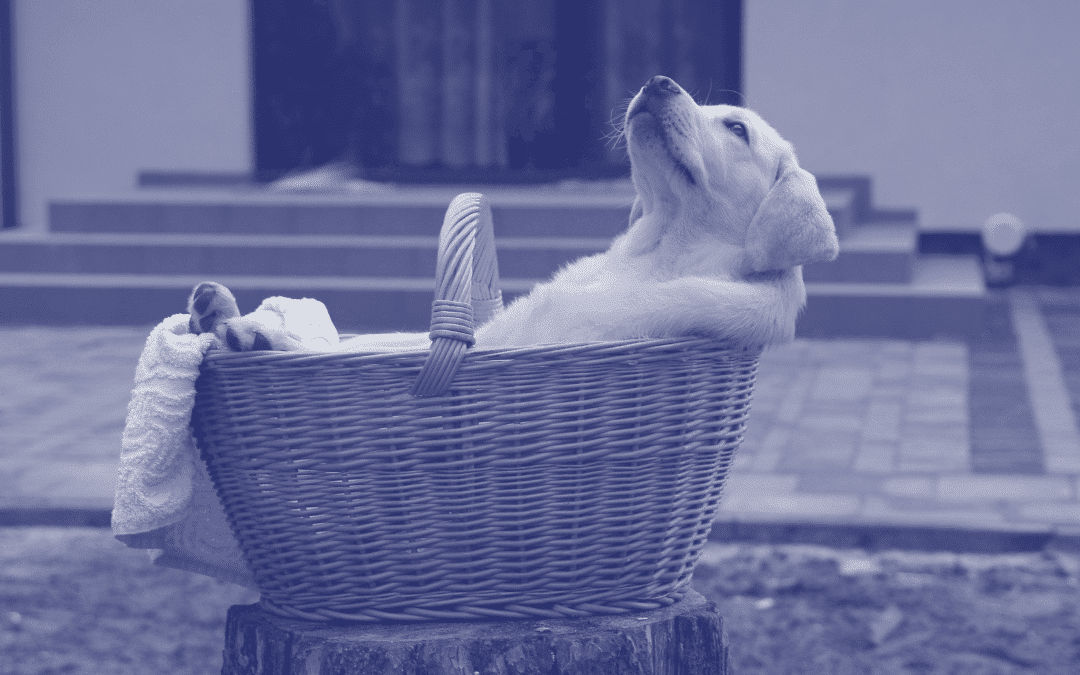 Relax a little… but never stop selling