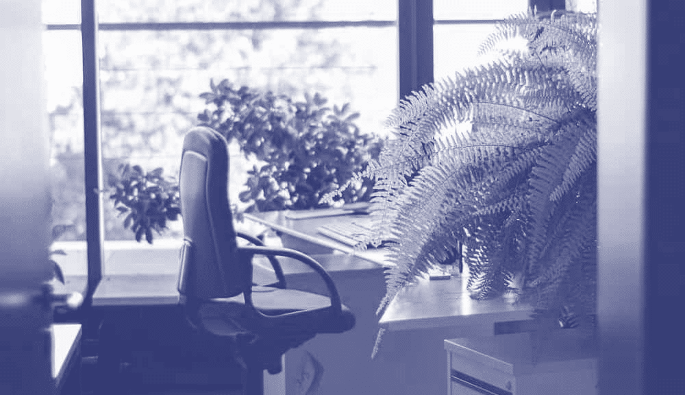 Should you hire a Project Manager… or Project Coordinator… or PM Director?