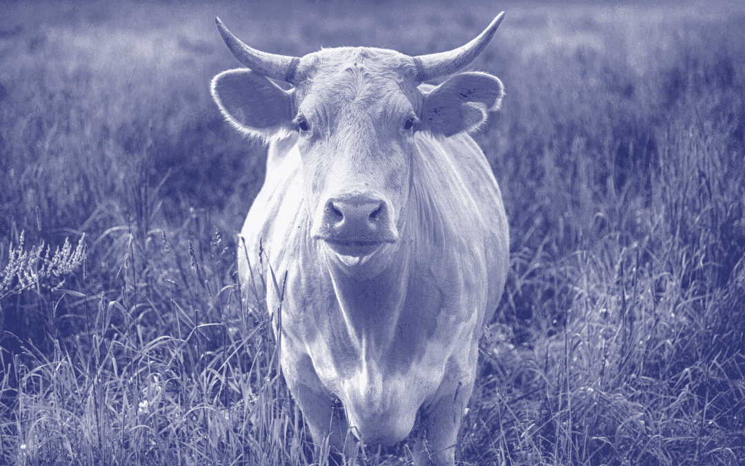 What to say when prospective clients refuse to pay your deposit