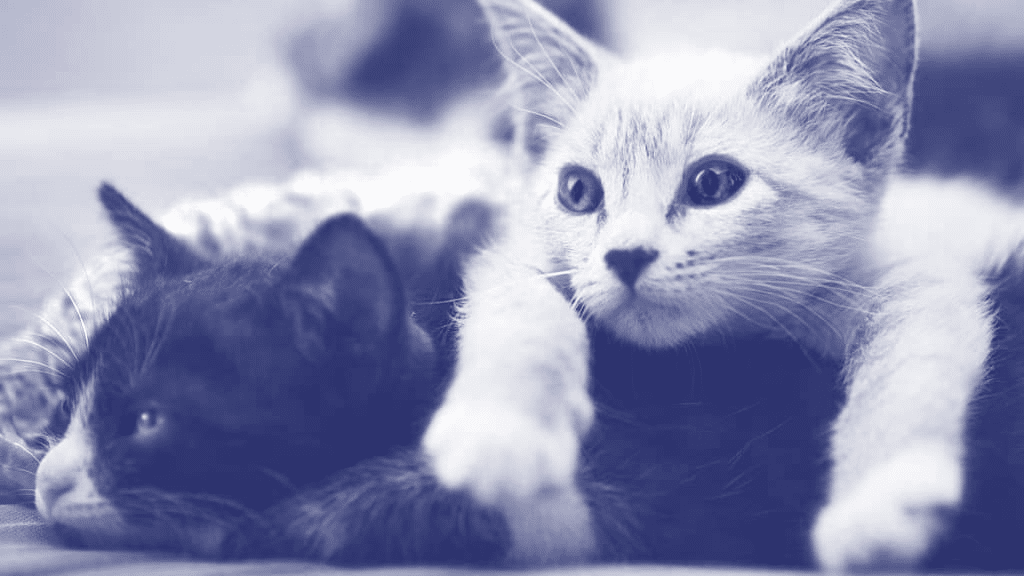 Why your agency needs a quarterly All-Hands meeting Why your agency needs a quarterly All Hands meeting