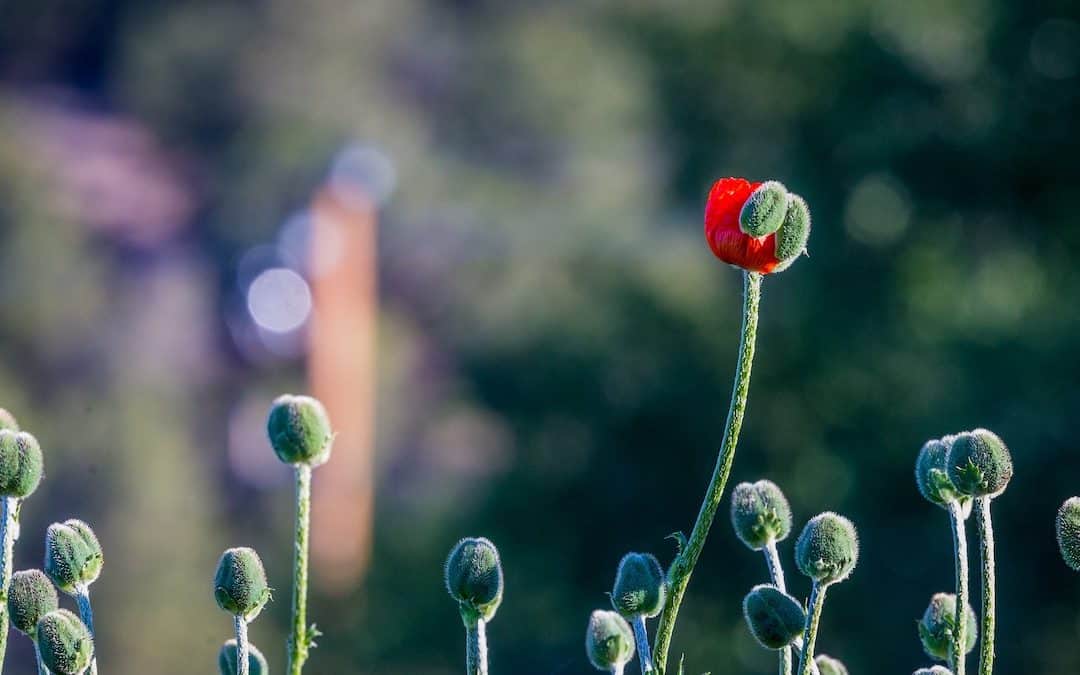 Grow your agency: 37 agency sales tips to try in 2019