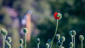 Agency sales tips: How to grow your agency this year