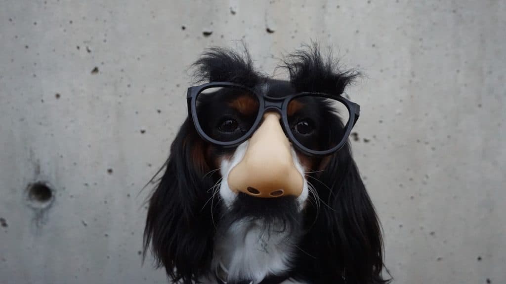 Decisionmaking tells help you read minds, by using those tells as a proxy for what people really mean.