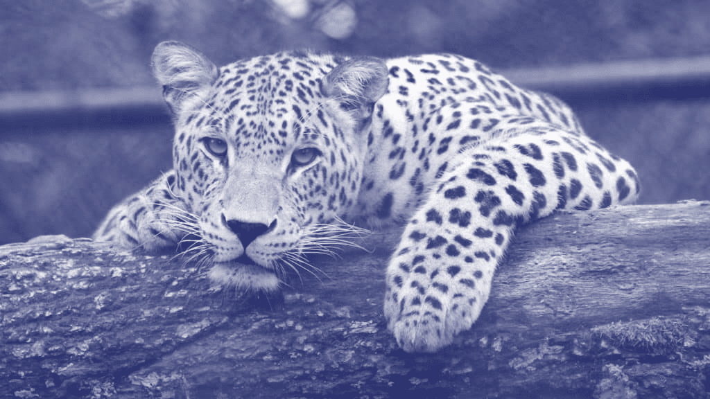 Danger: Do you have Reluctant Leaders at your agency?