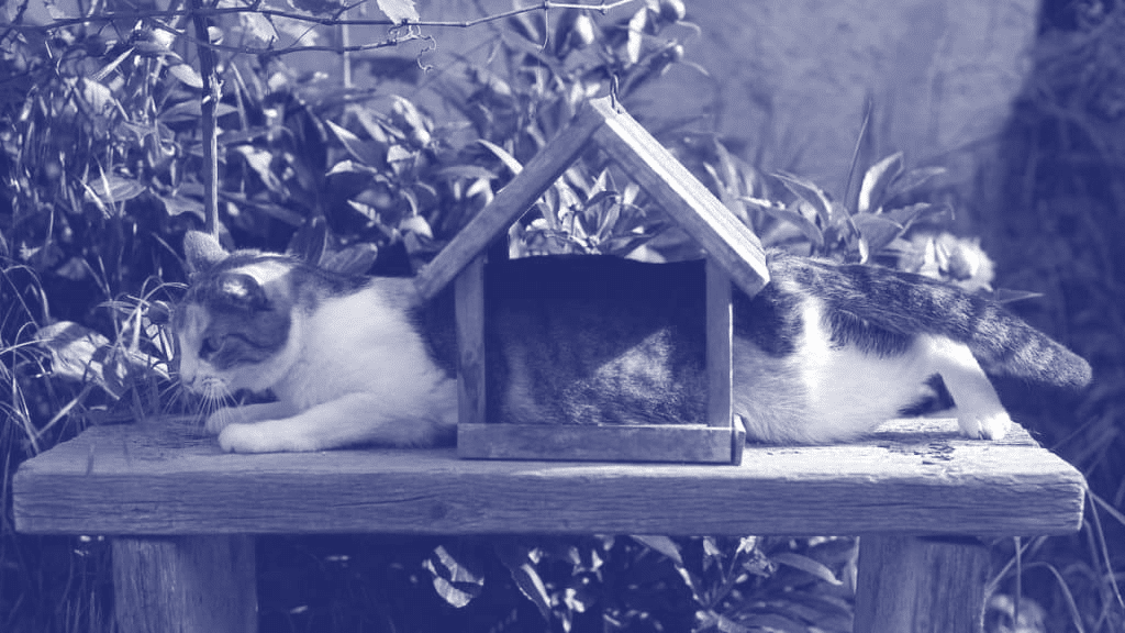 Don't get trapped: avoid the agency doldrums