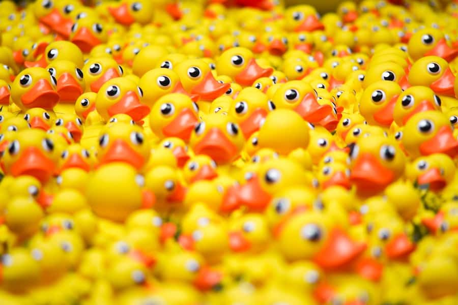 How many agencies should a client have?