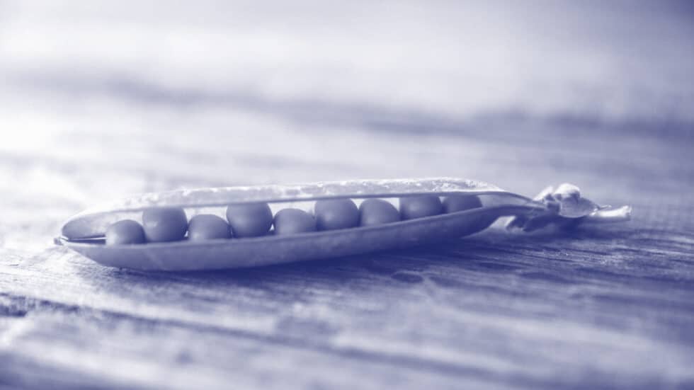 Time for a Pod structure at your agency?